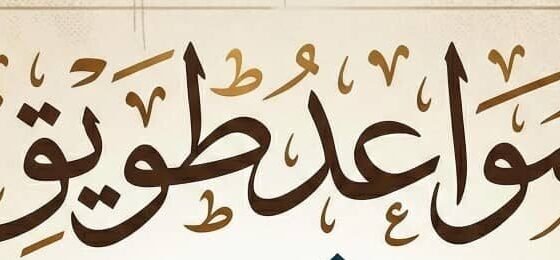 مؤسسة سواعد طويق للمقاولات العامة بناء عضم مواد تسليم مفتاح عمائرملاحق احواش فلل استراحات غرف غرف تشطيب ترميم دقه في العمل سرعه في الإنجاز تحت إشراف المهندس وبأسعار مناسبه متواجدون في جميع مناطق جده​​